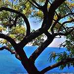 Proche Porticcio, Coup De Coeur Asure,appartement De Standing, Rez De 6 Couchages, Climatise A 150m De La Plage, Terrains De Tennis Apartment