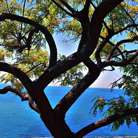 Proche Porticcio, Coup De Coeur Asure,appartement De Standing, Rez De 6 Couchages, Climatise A 150m De La Plage, Terrains De Tennis Διαμέρισμα