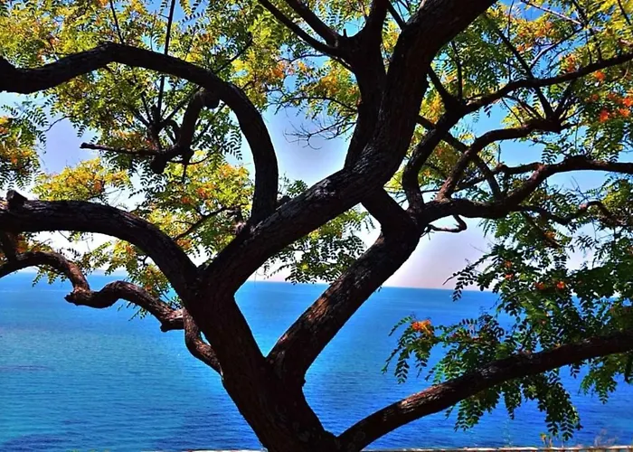 Proche Porticcio, Coup De Coeur Asure,appartement De Standing, Rez De 6 Couchages, Climatise A 150m De La Plage, Terrains De Tennis דירה